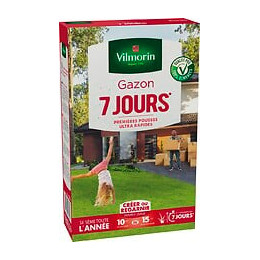 Gazon 7 jours boite 250g