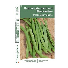 Haricot phénomène 150g Francegraines