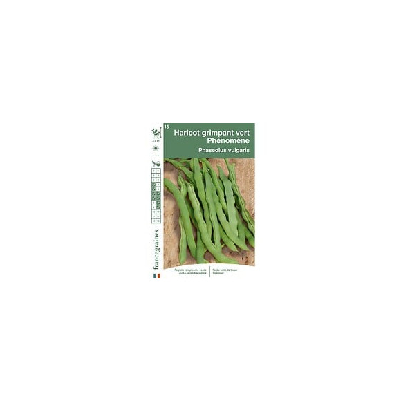 Haricot phénomène 150g Francegraines