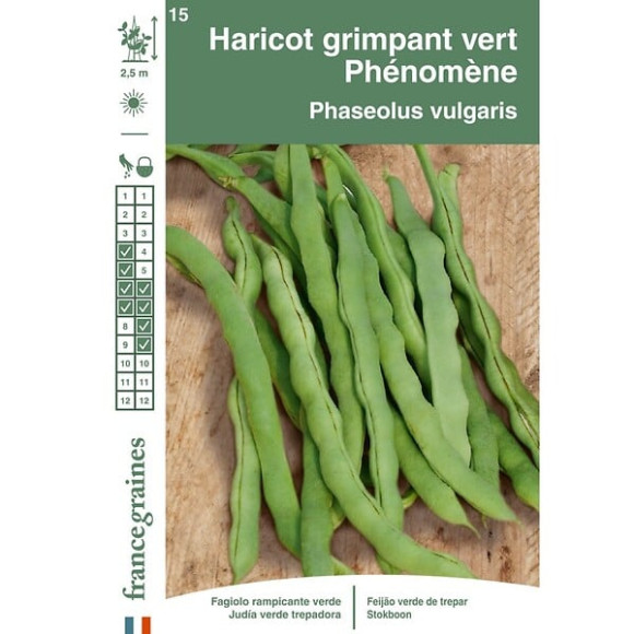 Haricot phénomène 150g Francegraines