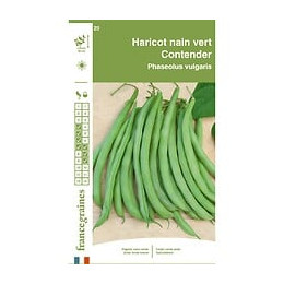 Haricot Contender 400 g Francegraines