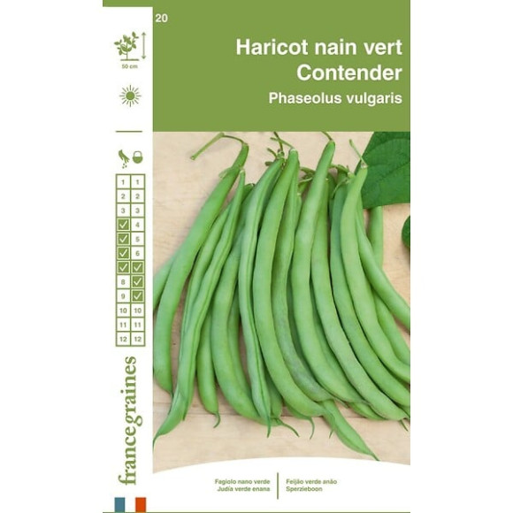 Haricot Contender 400 g Francegraines