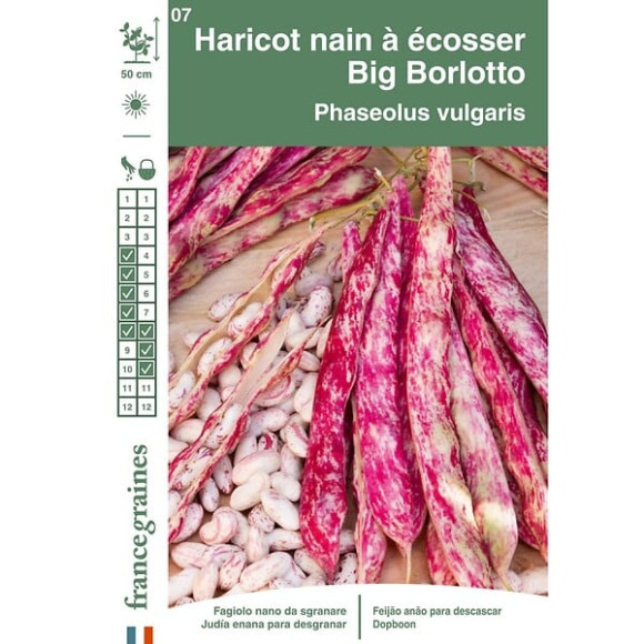 Haricot Big Borlotto nain à  écosser France Graines