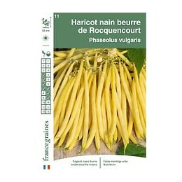 Haricot rocquencourt 150g Francegraines