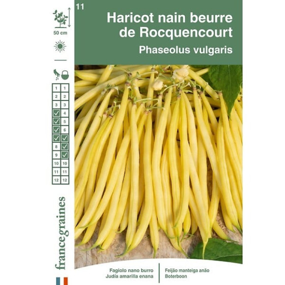 Haricot rocquencourt 150g Francegraines