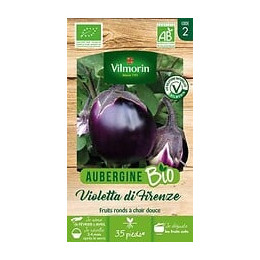 Aubergine violette de Florence bio