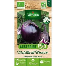 Aubergine violette de Florence bio