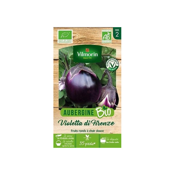 Aubergine violette de Florence bio