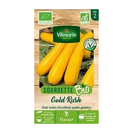 Courgette gold rush longue jaune bio