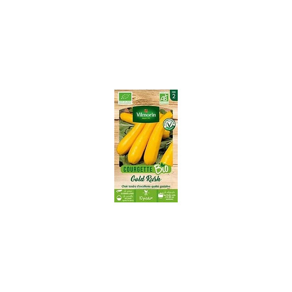 Courgette gold rush longue jaune bio