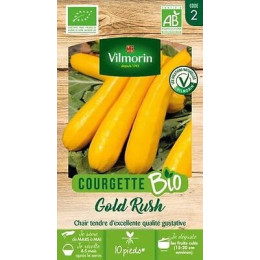 Courgette gold rush longue jaune bio