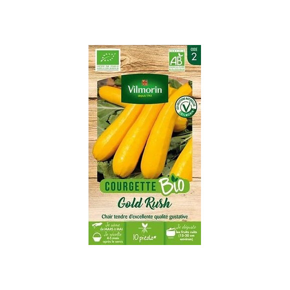 Courgette gold rush longue jaune bio