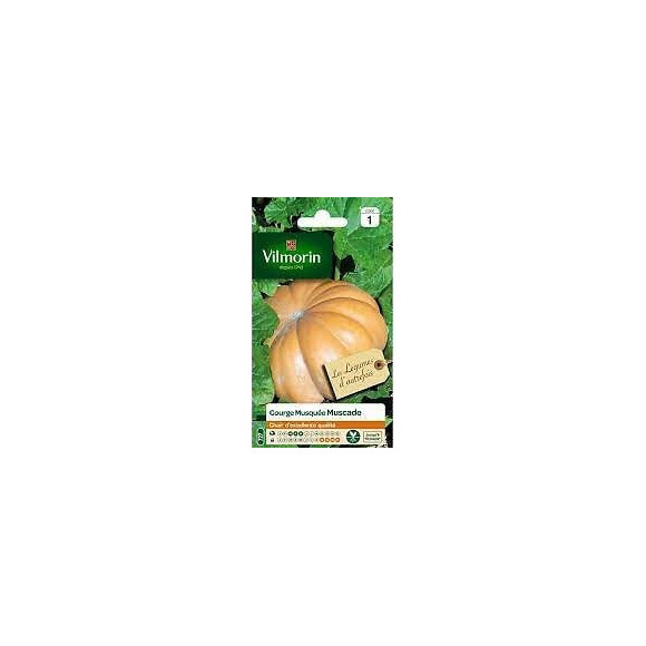 Courge Muscade France Graines