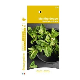 Menthe douce France Graines