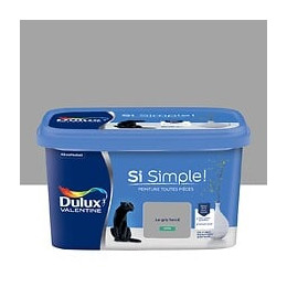 Peinture Si Simple - Gris Fonce - Satin - 25L