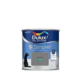 Peinture Si Simple - L'Anthracite - Satin - 05L