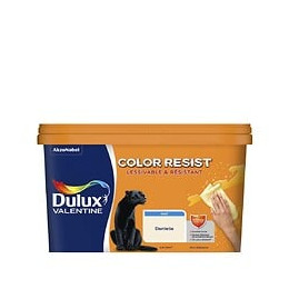 Peinture Color Resist - Dentelle - Mur et boiserie - 25L