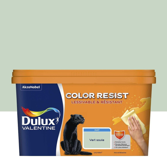 Peinture Color Resist - Vert Saule - Mur et boiserie - 25L