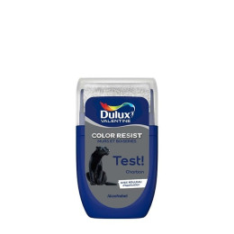 Testeur Dulux Valentine Color Resist Mur et Boiserie Charbon 003L