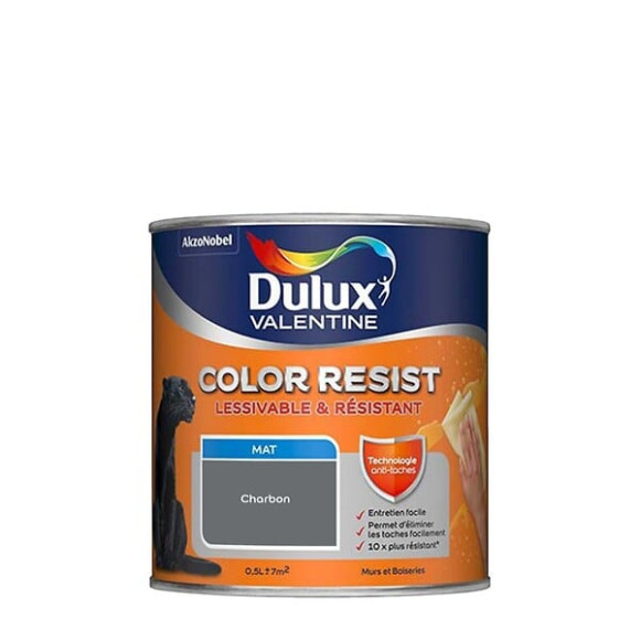 Peinture Color Resist - Charbon - Mur et boiserie - 05L