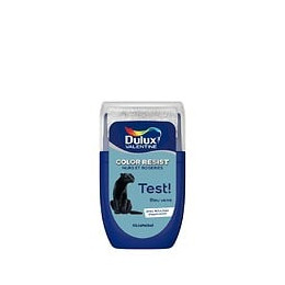 Testeur Dulux Valentine Color Resist Mur et Boiserie Bleu Verre 003L