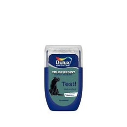 Testeur Dulux Valentine Color Resist Mur Boiserie Vert Profond 003L