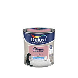 Peinture Crème de Couleur - Vieux Rose - Mat - 05L