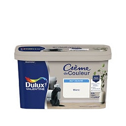 Peinture Crème de Couleur - Blanc  - Mat - 25L