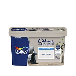 Peinture Crème de Couleur - Blanc intense - Mat - 25L