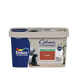 Peinture Crème de Couleur - Tomette - Satin - 25L