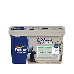 Peinture Crème de Couleur - Douceur Aube  - Satin - 25L