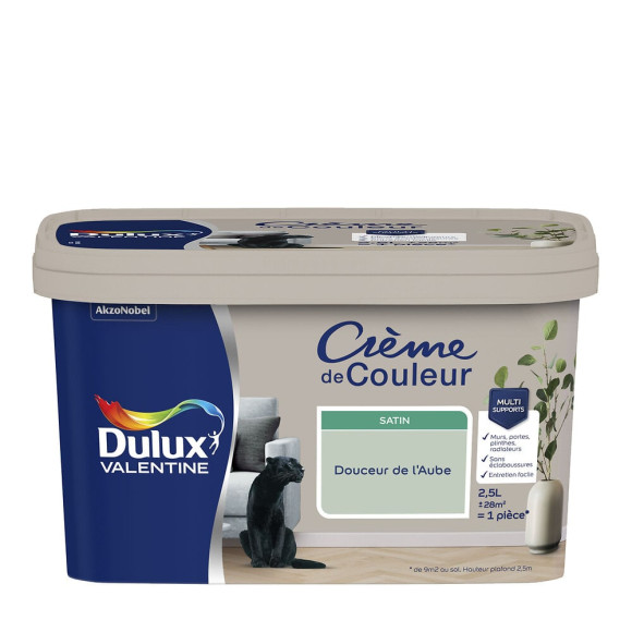 Peinture Crème de Couleur - Douceur Aube  - Satin - 25L