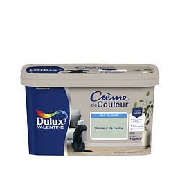 Peinture Crème de Couleur - Douceur Aube  - Mat - 25L