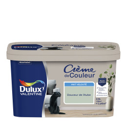 Peinture Crème de Couleur - Douceur Aube  - Mat - 25L