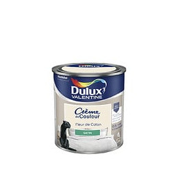 Peinture Crème de Couleur - Fleur de Coton - Satin - 05L