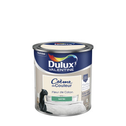 Peinture Crème de Couleur - Fleur de Coton - Satin - 05L