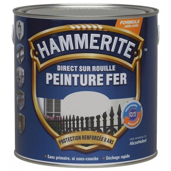 Peinture Hammerite Direct sur Rouille - Gris Argent - Brillant - 25L