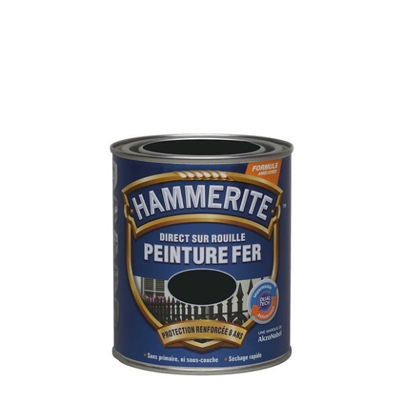 Peinture Direct sur Rouille - Noir - Satin - 075L