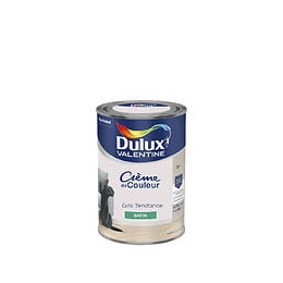 Peinture Crème de Couleur - Gris Tendance - Satin - 125L