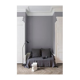 Velours de peinture - Gris Gustave III - Mat - 125ml