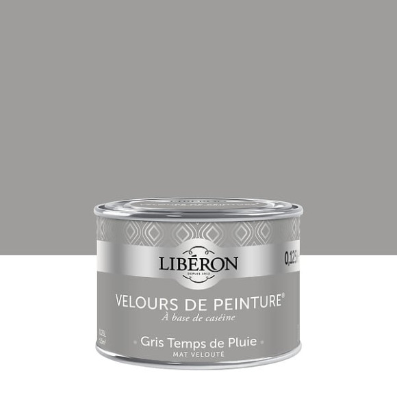 Velours de peinture - Gris temps de pluie - Mat - 125ml