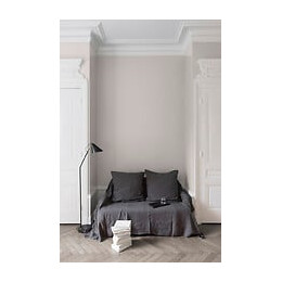 Velours de peinture - Gris saunier - Mat - 05L