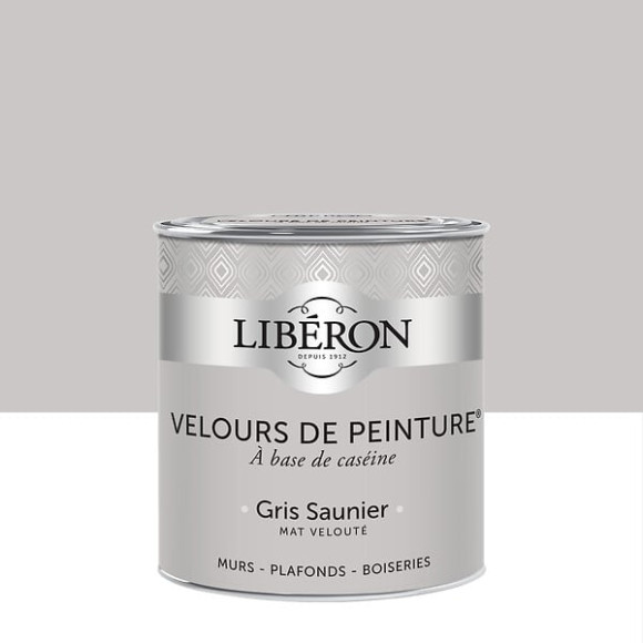 Velours de peinture - Gris saunier - Mat - 05L