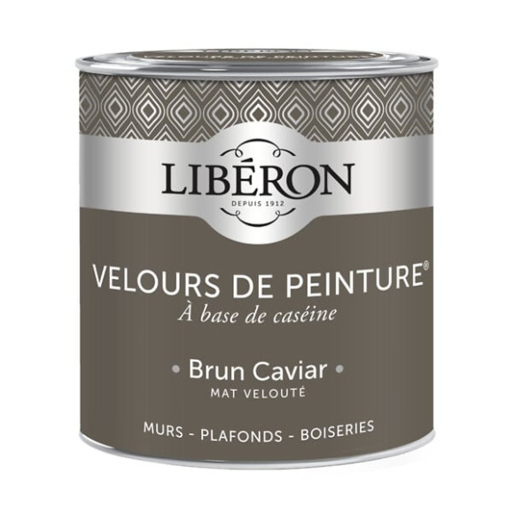 Velours de peinture - Brun caviar - Mat - 05L