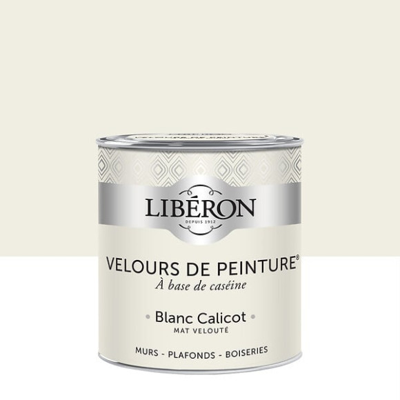 Velours de peinture - Blanc calicot - Mat - 05L