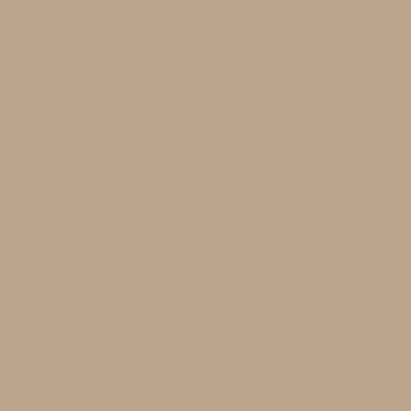 Velours de peinture - Beige Paris-Brest - Mat - 05L