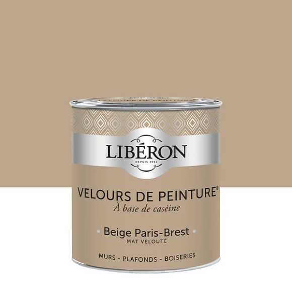 Velours de peinture - Beige Paris-Brest - Mat - 05L