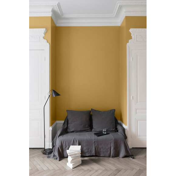 Velours de peinture - Jaune calisson - Mat - 05L