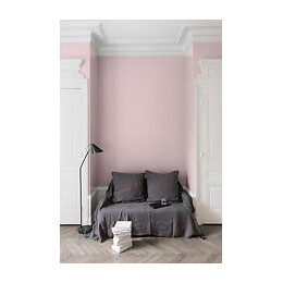 Velours de peinture - Rose pamoison - Mat - 05L