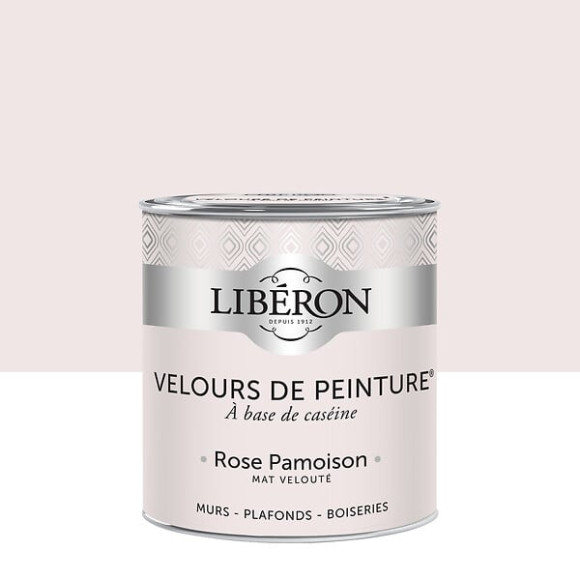 Velours de peinture - Rose pamoison - Mat - 05L